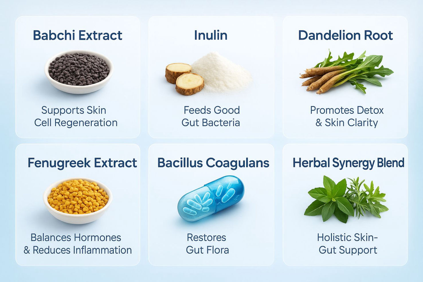 neotonics-natural-ingredients